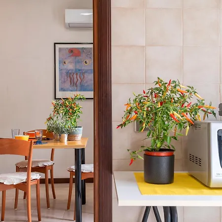 Sardinia Re - Lilium Flat - Free Parking アルゲーロ